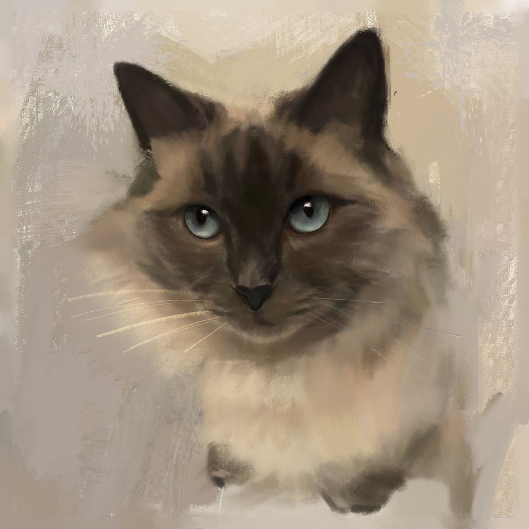 Seal Point Ragdoll Cat Greeting Card