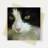 Tuxedo Cat Greeting Card