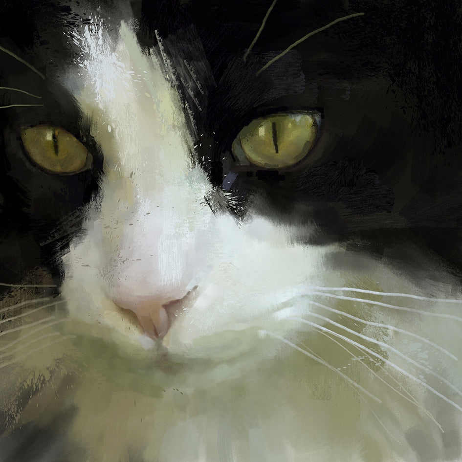 Tuxedo Cat Print