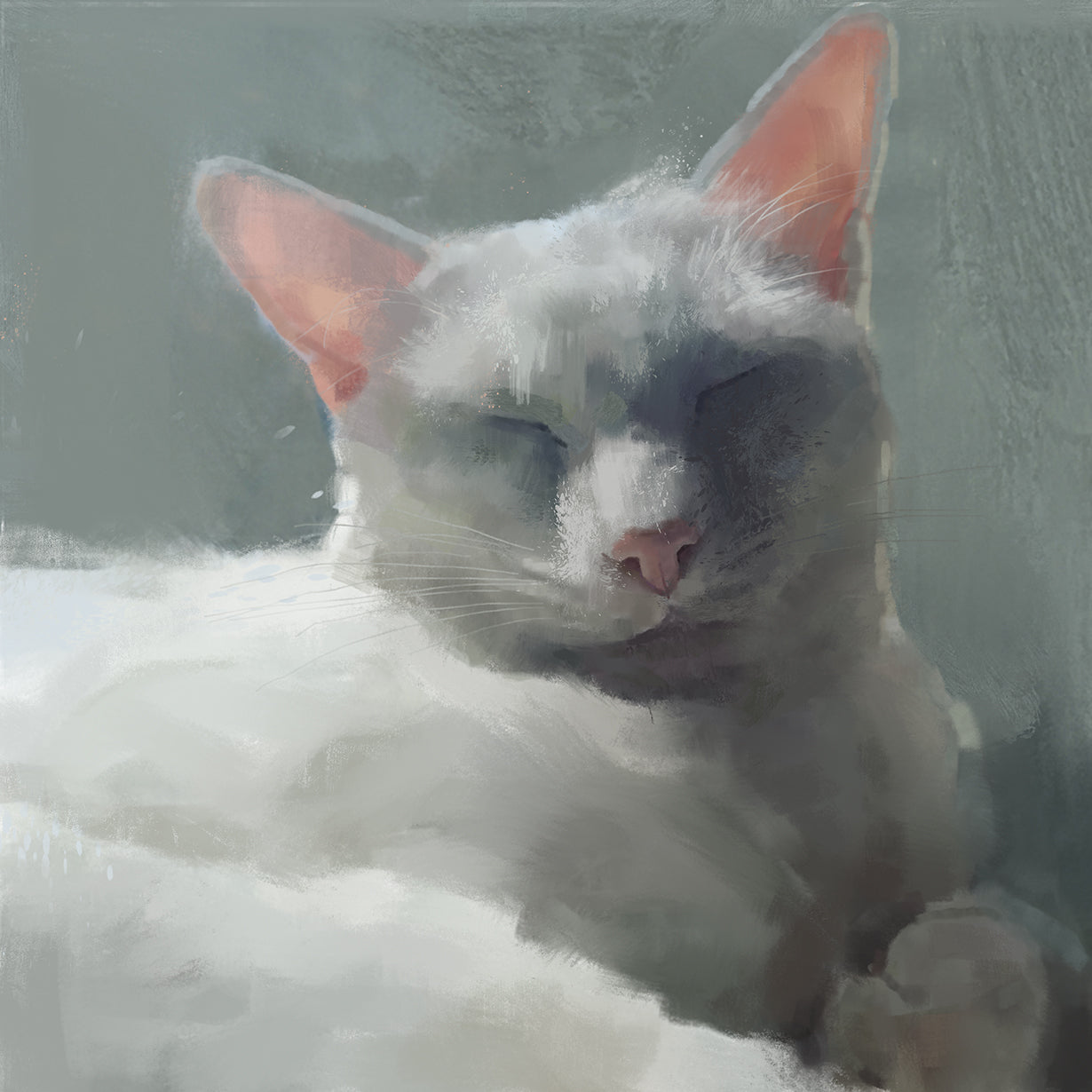 White Cat Print